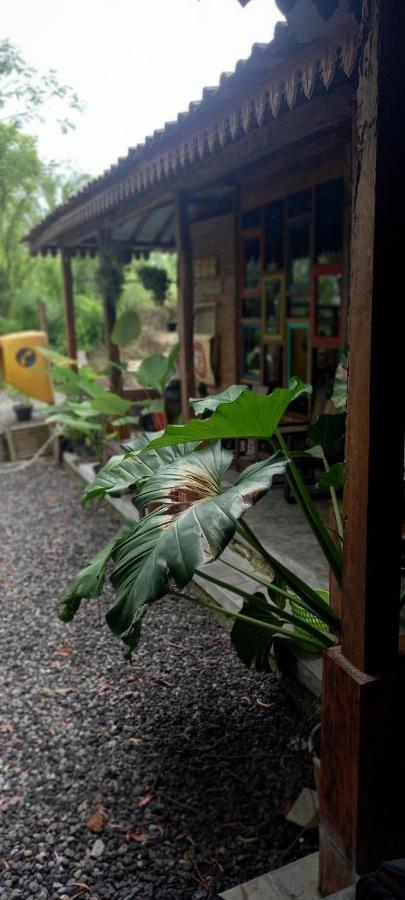 Jarakan Omah Cantrik, Ethnic Java House With Nature View מראה חיצוני תמונה